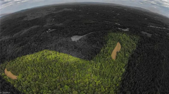 $275,000 | 0 Peewee Cromer Road, Danbury, NC 27016