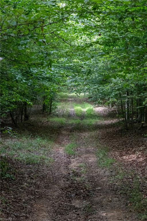 0 Peewee Cromer Road Danbury, NC 27016 - Photo 5 of 13 Roads continue