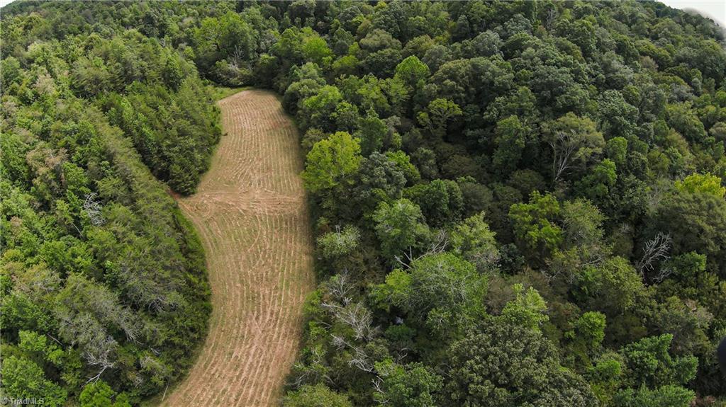 0 Peewee Cromer Road Danbury, NC 27016 - Photo 7 of 13 Upper Meadow - Approx. 2 acres