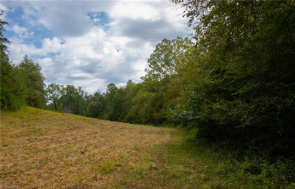 0 Peewee Cromer Road Danbury, NC 27016 - Photo 8 of 13 Lower Meadow - creek wraps around the lower side