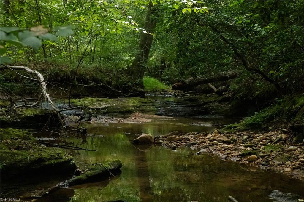 0 Peewee Cromer Road Danbury, NC 27016 - Photo 9 of 13 Creek wraps the lower meadow