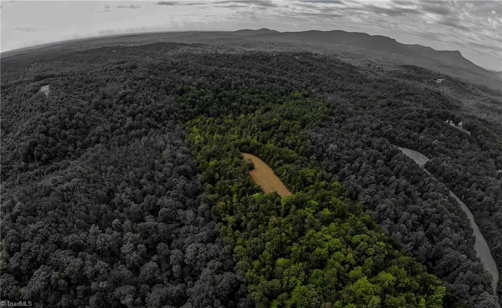 0 Peewee Cromer Road Danbury, NC 27016 - Photo 10 of 13 Another view