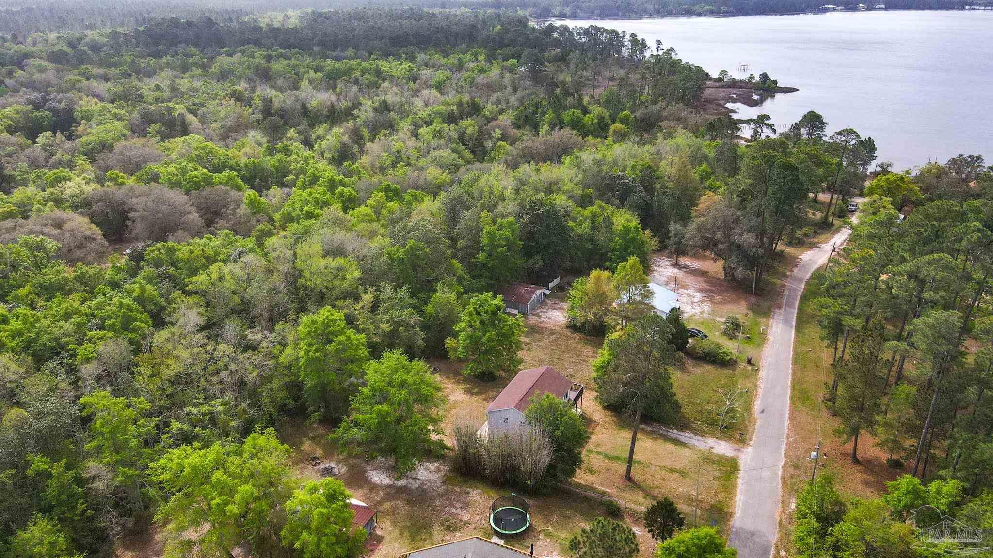 4032 Mae Lane Milton, FL 32583 - Photo 44 of 50 a view of a forest with a tree