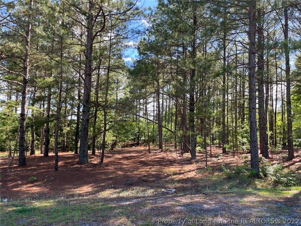 Overhills Road Bunnlevel, NC 28323 - Photo 2 of 8 Gallery Image 2