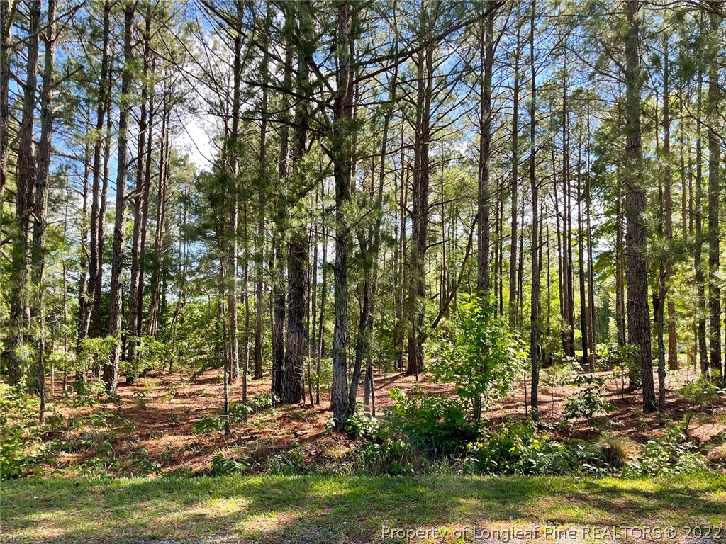 Overhills Road Bunnlevel, NC 28323 - Photo 3 of 8 Gallery Image 3
