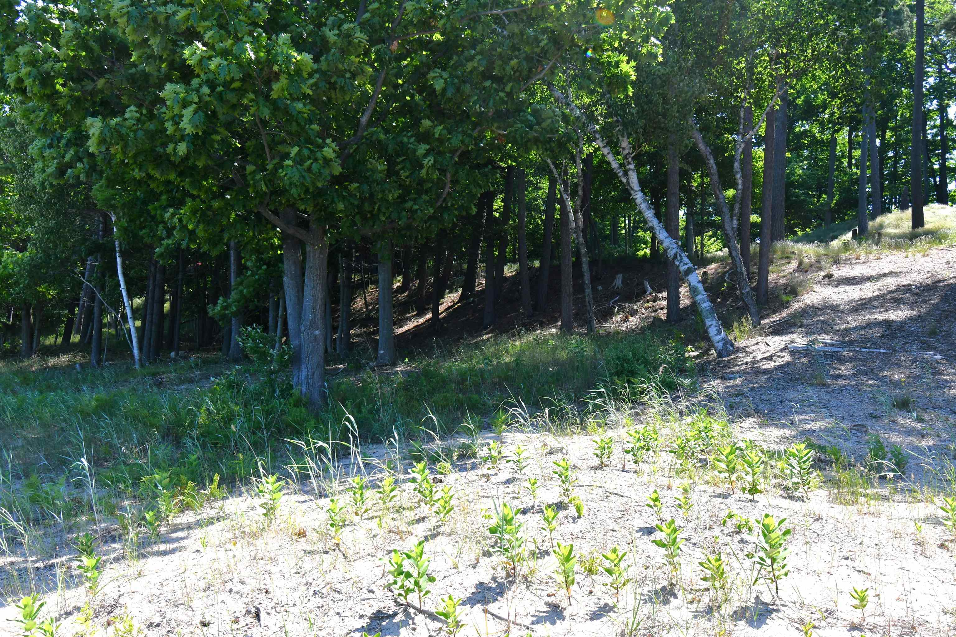 0 Mt McSauba Road Charlevoix, MI 49720 - Photo 29 of 33