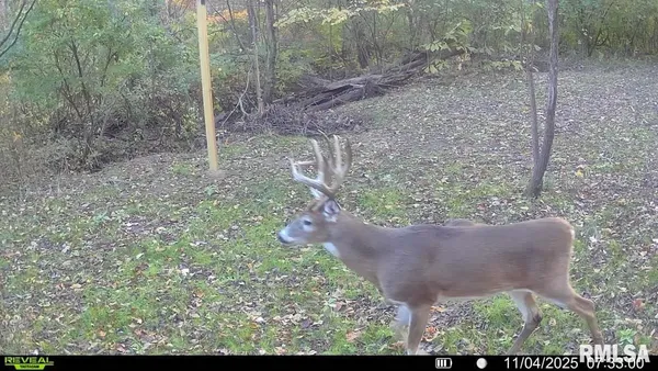 $179,000 | 4120-4319 North 925th Street, Paris, IL 61944