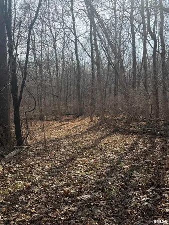 $179,000 | 4120-4319 North 925th Street, Paris, IL 61944