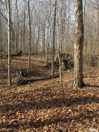 $179,000 | 4120-4319 North 925th Street, Paris, IL 61944