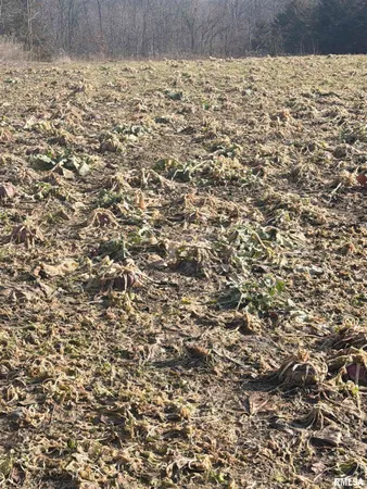 $179,000 | 4120-4319 North 925th Street, Paris, IL 61944