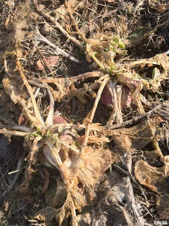 $179,000 | 4120-4319 North 925th Street, Paris, IL 61944