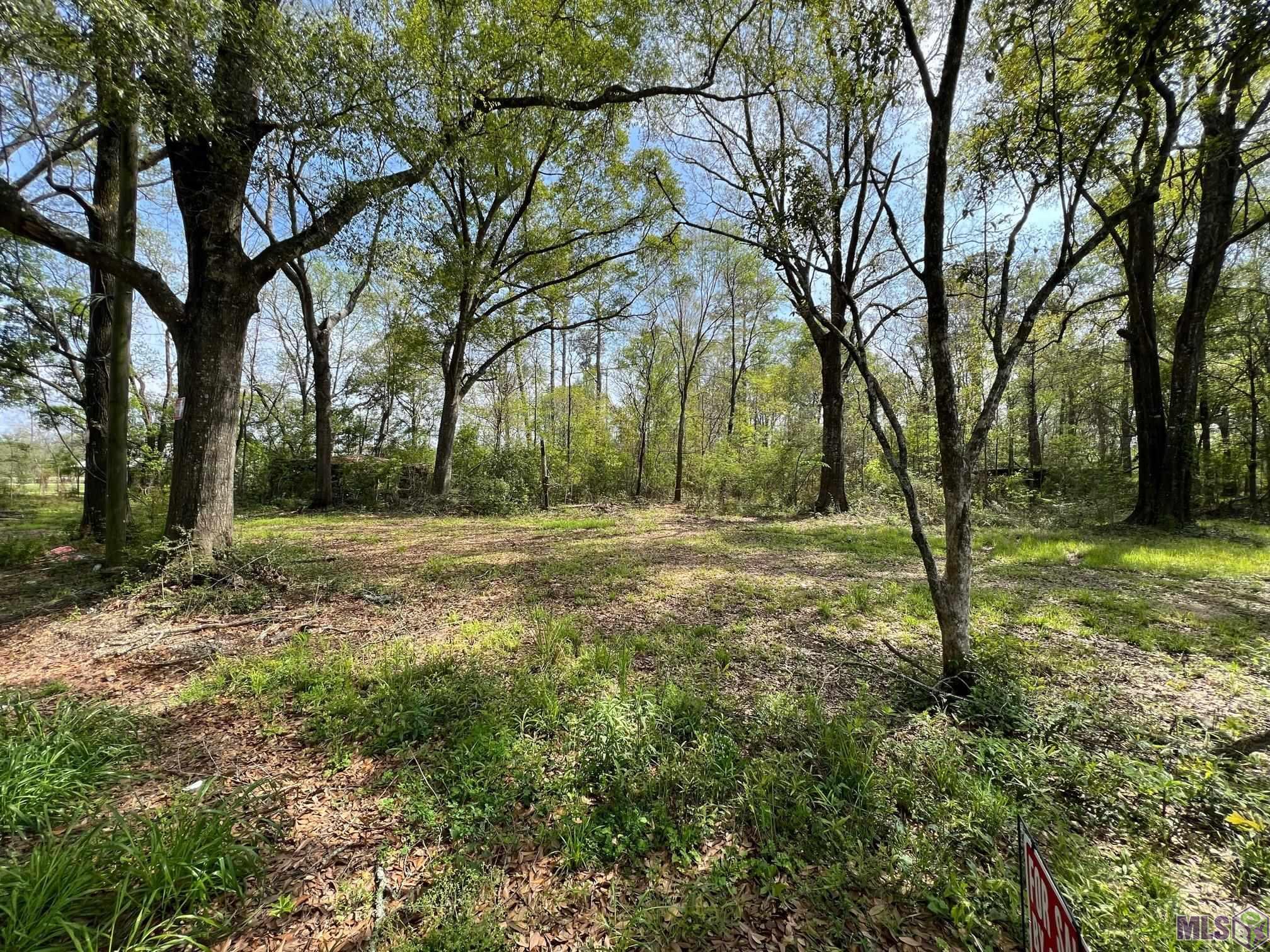 12010 Sims Road Denham Springs, LA 70706 - Photo 4 of 7