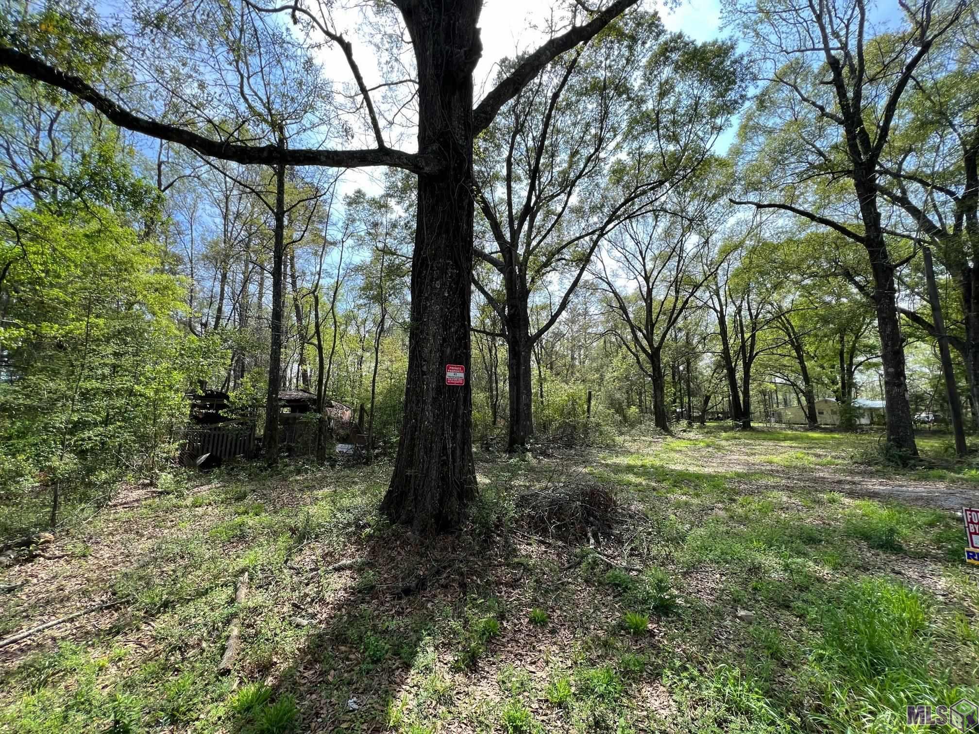 12010 Sims Road Denham Springs, LA 70706 - Photo 7 of 7