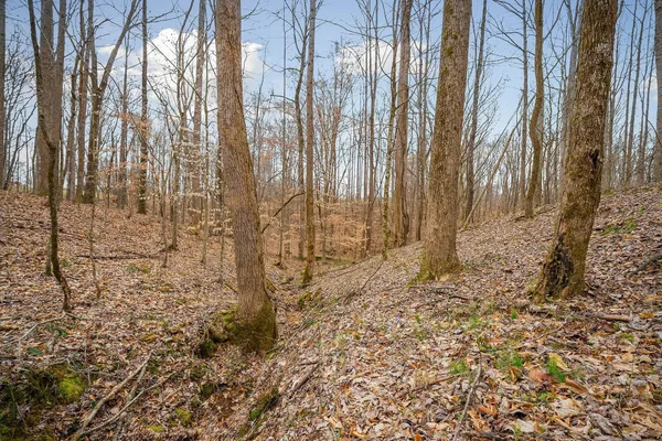 $111,499 | 3944 Crawford Road, Silver Point, TN 38582