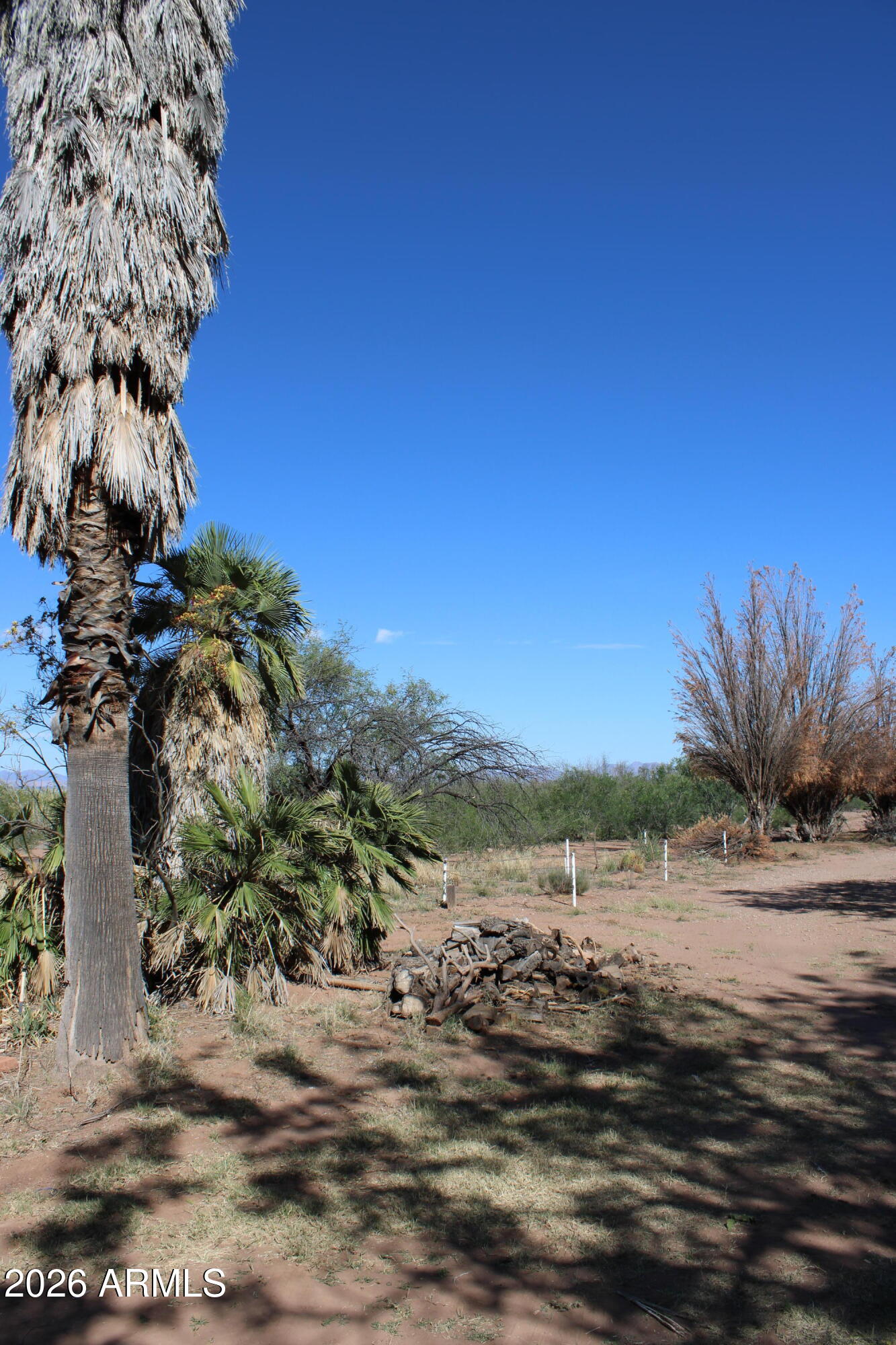 6830 North Frontier Road McNeal, AZ 85617 - Photo 41 of 46
