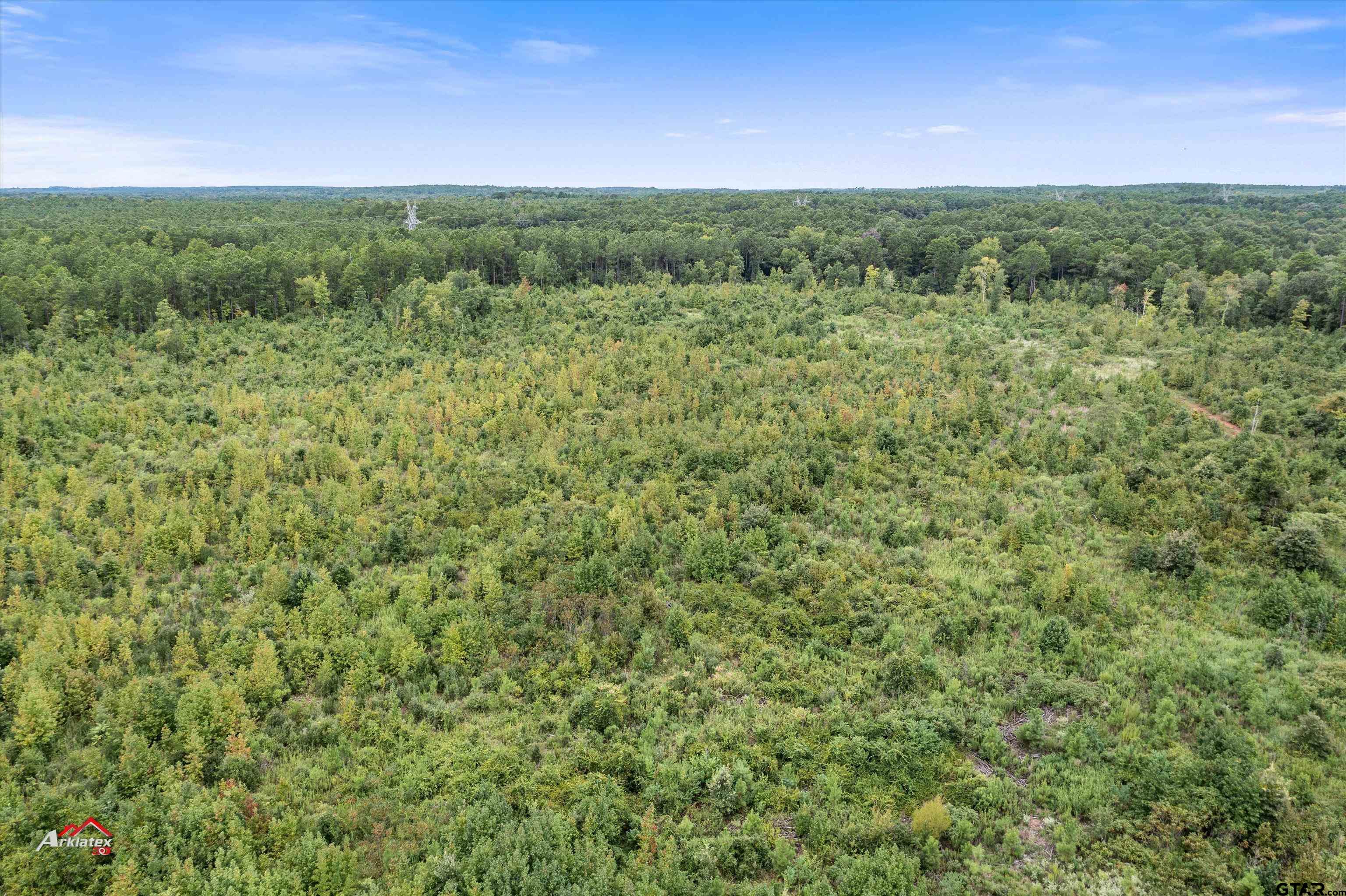 95 (69 /- Acres) Mount Mount Enterprise, TX 75681 - Photo 4 of 10