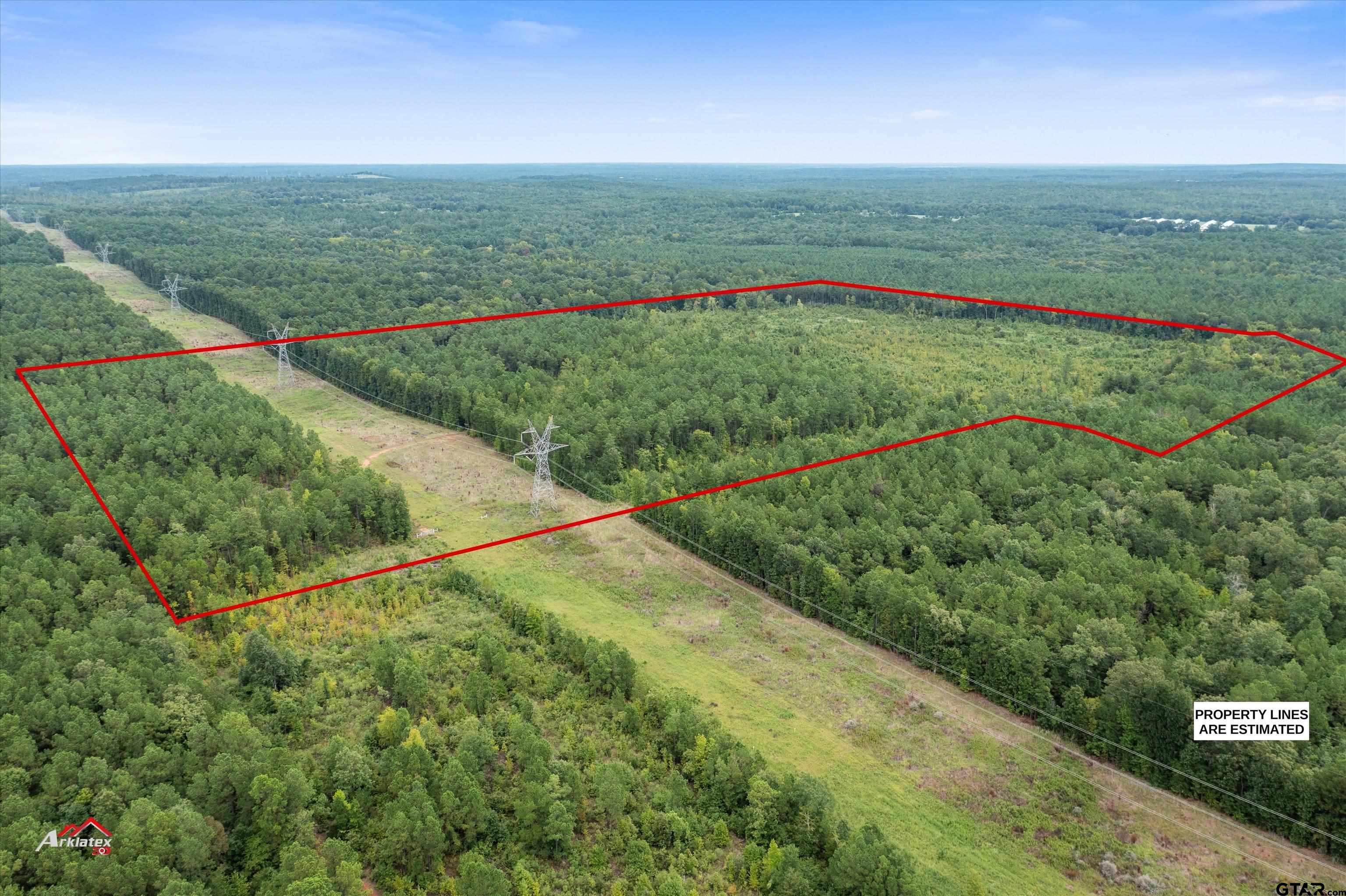 95 (69 /- Acres) Mount Mount Enterprise, TX 75681 - Photo 5 of 10