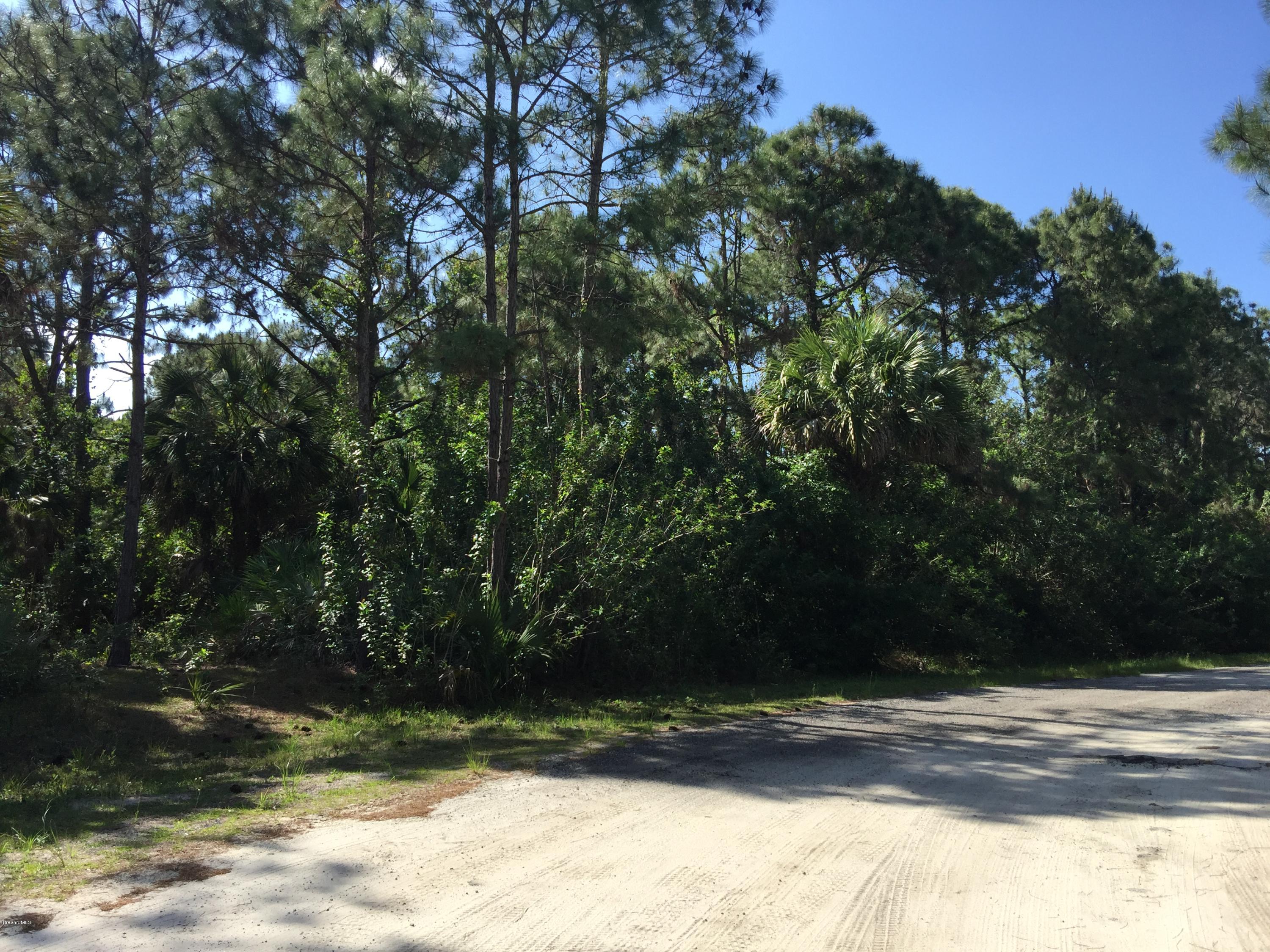 Xxx Saul Road Southwest Palm Bay, FL 32908 - Photo 2 of 4 IMG_4093