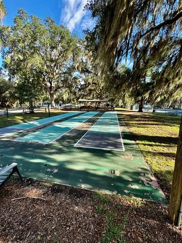 a view of a park with large trees
