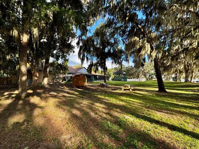 a view of a park with palm trees