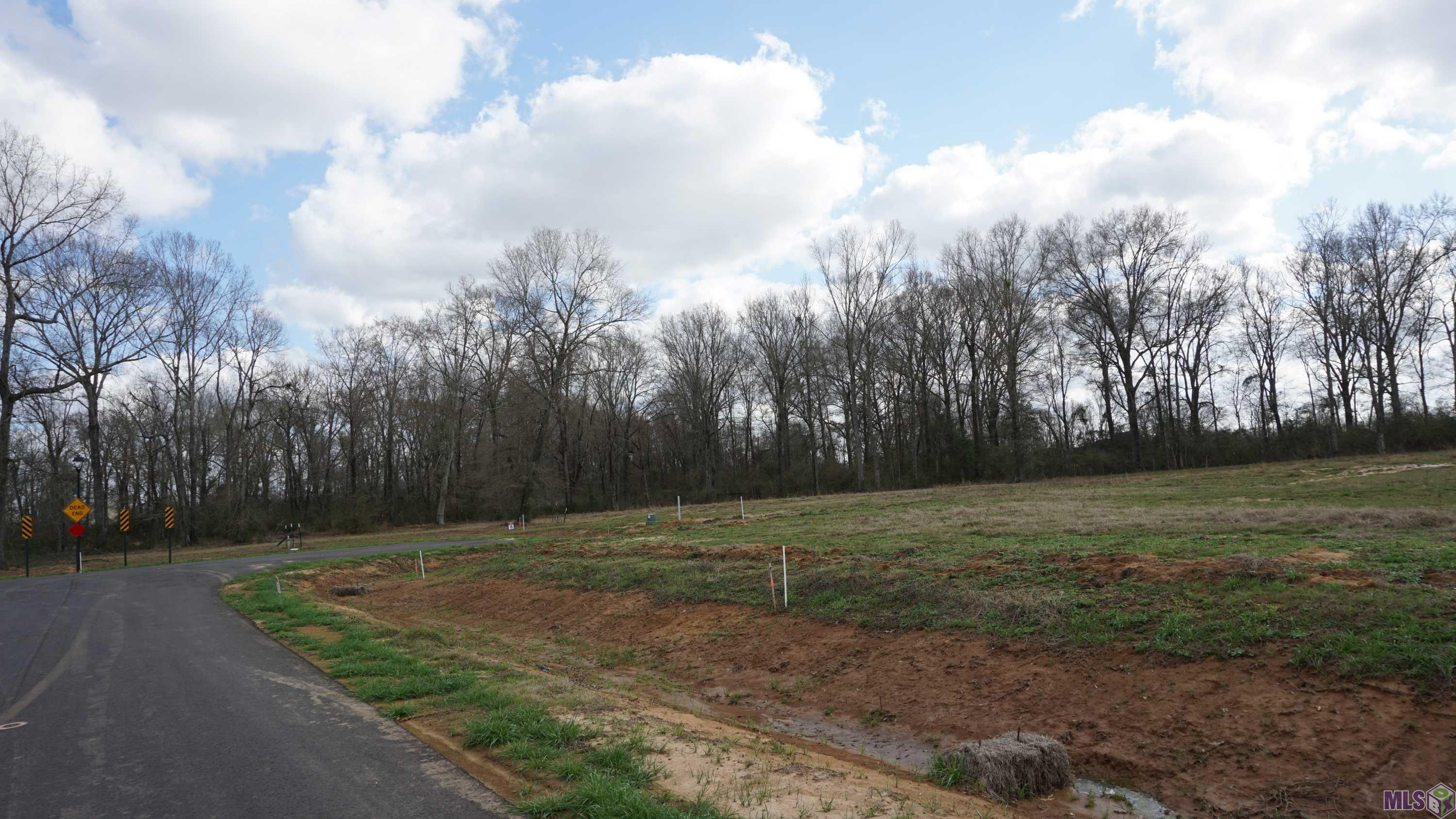 68 Jackson La Jackson, LA 70748 - Photo 16 of 33