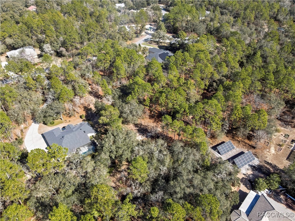 3921 North Longvalley Road Hernando, FL 34442 - Photo 7 of 11