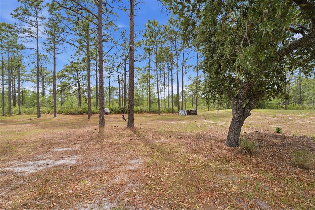18043 Palmdale Road Weeki Wachee, FL 34614 - Photo 37 of 41