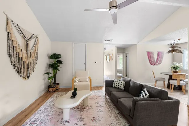 a living room with furniture or couch and a potted plant