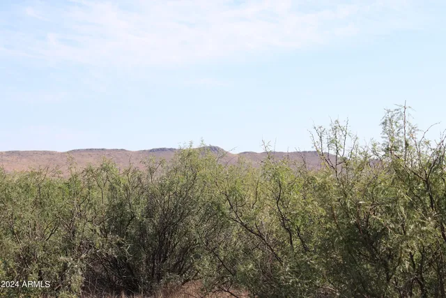 a view of a large building with mountains in the background