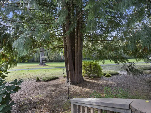 a view of a field with trees in the background