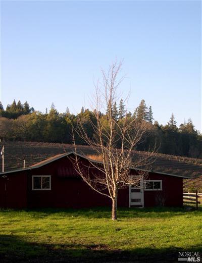 11381 Graton Road Sebastopol, CA 95472 - Photo 5 of 12 a view of a yard with wooden fence