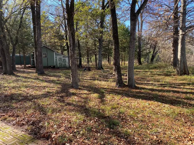 a view of a yard with trees