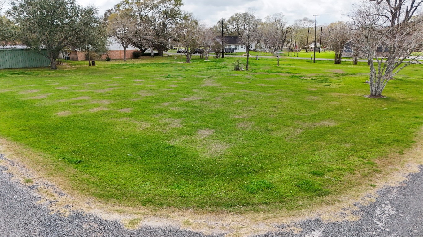 0 4th Street Louise, TX 77455 - Photo 8 of 12 a view of a park with large trees