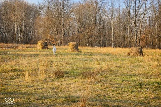 $460,000 | 3375 West County Road 850 South, Commiskey, IN 47227