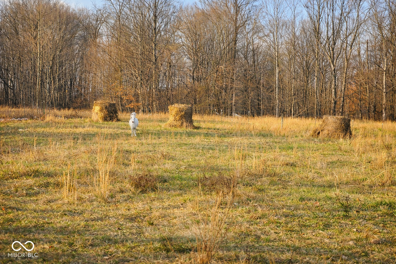 3375 West County Road 850 South Commiskey, IN 47227 - Photo 24 of 27