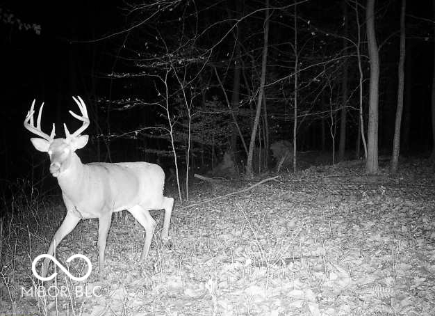 3375 West County Road 850 South Commiskey, IN 47227 - Photo 26 of 27