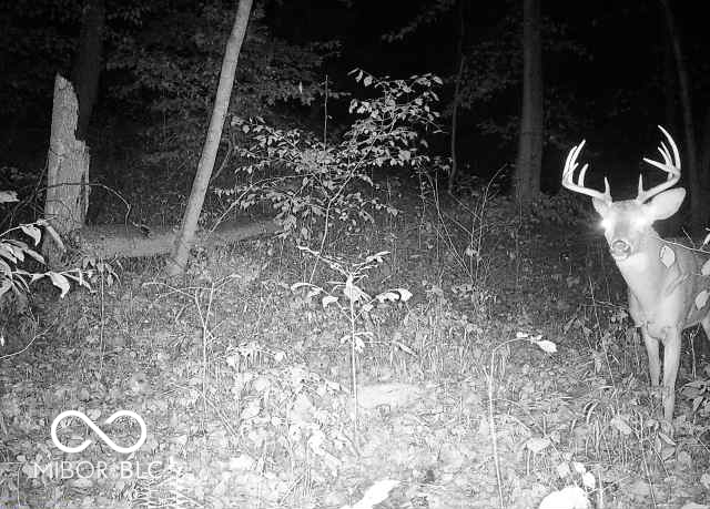 3375 West County Road 850 South Commiskey, IN 47227 - Photo 4 of 27