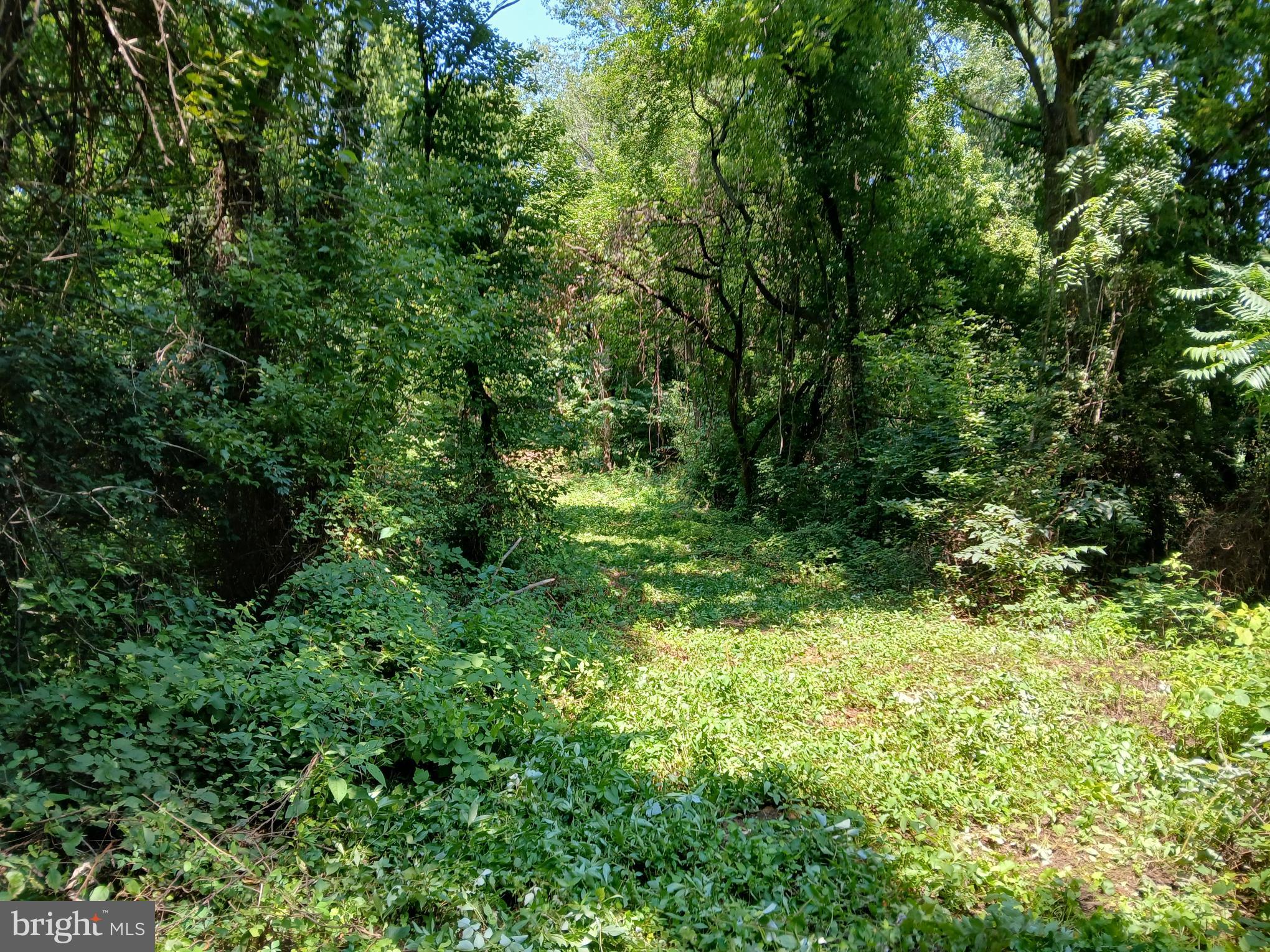2264 Walnut Bottom Road Carlisle, PA 17015 - Photo 11 of 17 Gallery Image 11