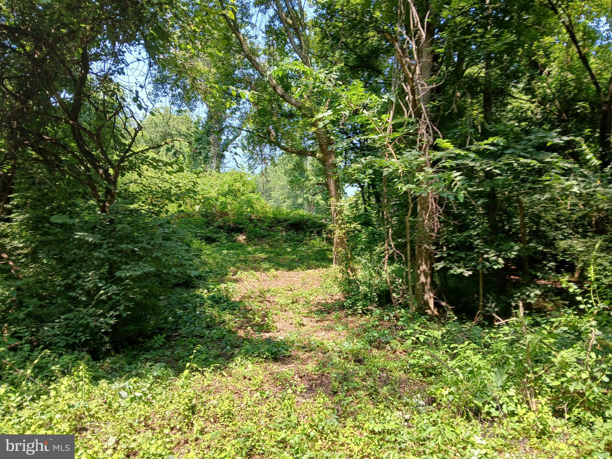 2264 Walnut Bottom Road Carlisle, PA 17015 - Photo 14 of 17 Gallery Image 14