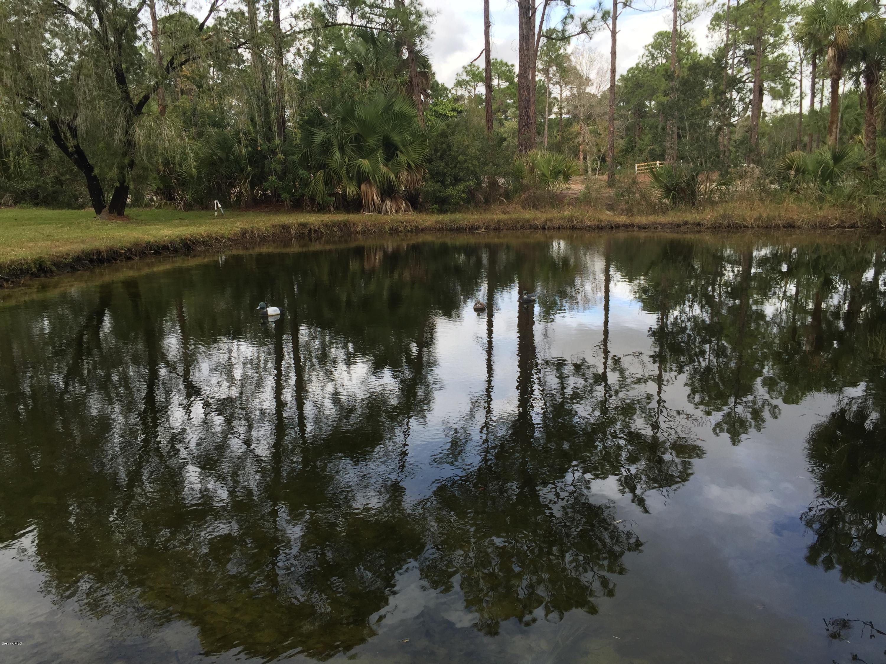 4810 Corey Road Grant Valkaria, FL 32950 - Photo 34 of 56 IMG_5025