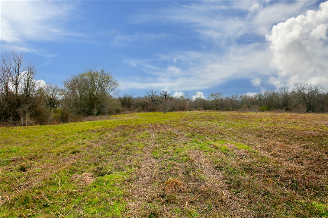Tbd Elmo Weedon Road College Station, TX 77845 - Photo 6 of 12 a view of an ocean and beach