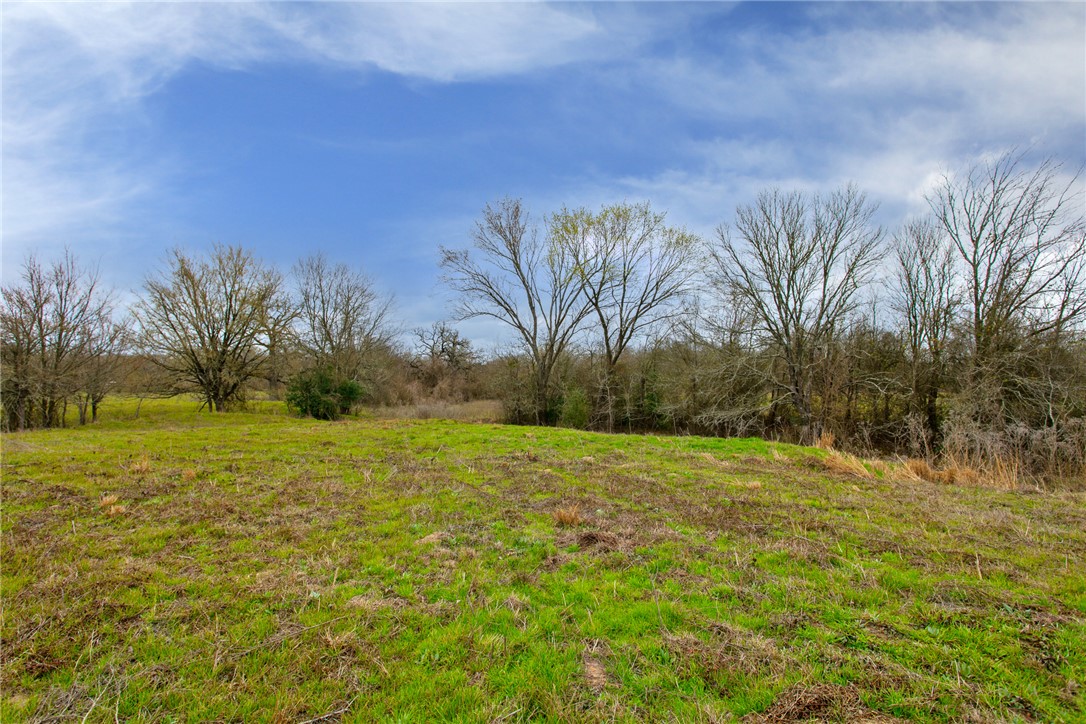 Tbd Elmo Weedon Road College Station, TX 77845 - Photo 7 of 12 a view of big yard with a house