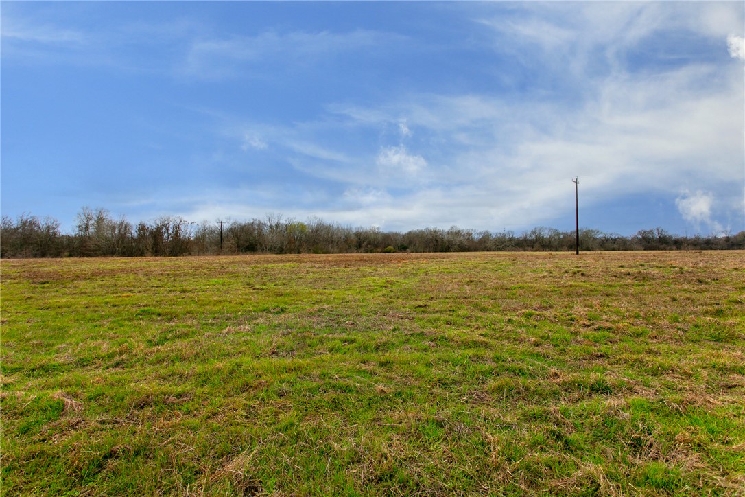 Tbd Elmo Weedon Road College Station, TX 77845 - Photo 9 of 12 a view of a lake view