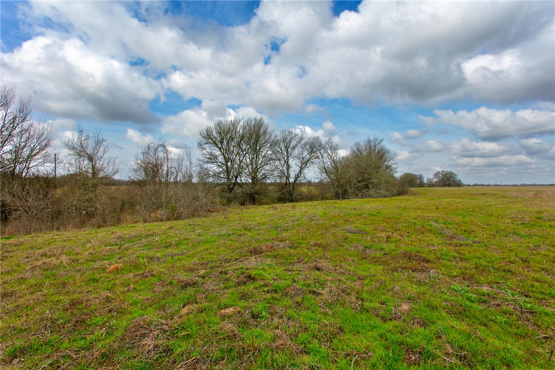 Tbd Elmo Weedon Road College Station, TX 77845 - Photo 10 of 12 a view of yard and ocean