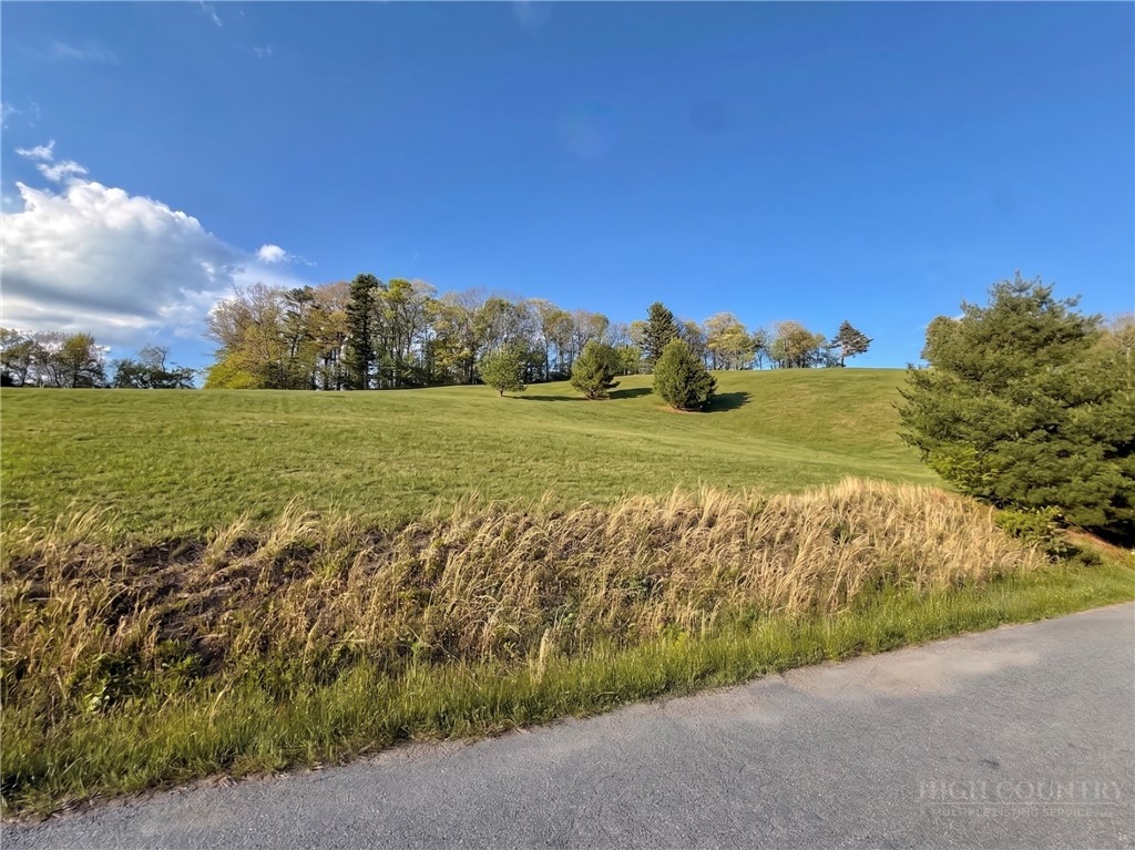 Lot 27 Hartley Knob Road Boone, NC 28607 - Photo 10 of 15