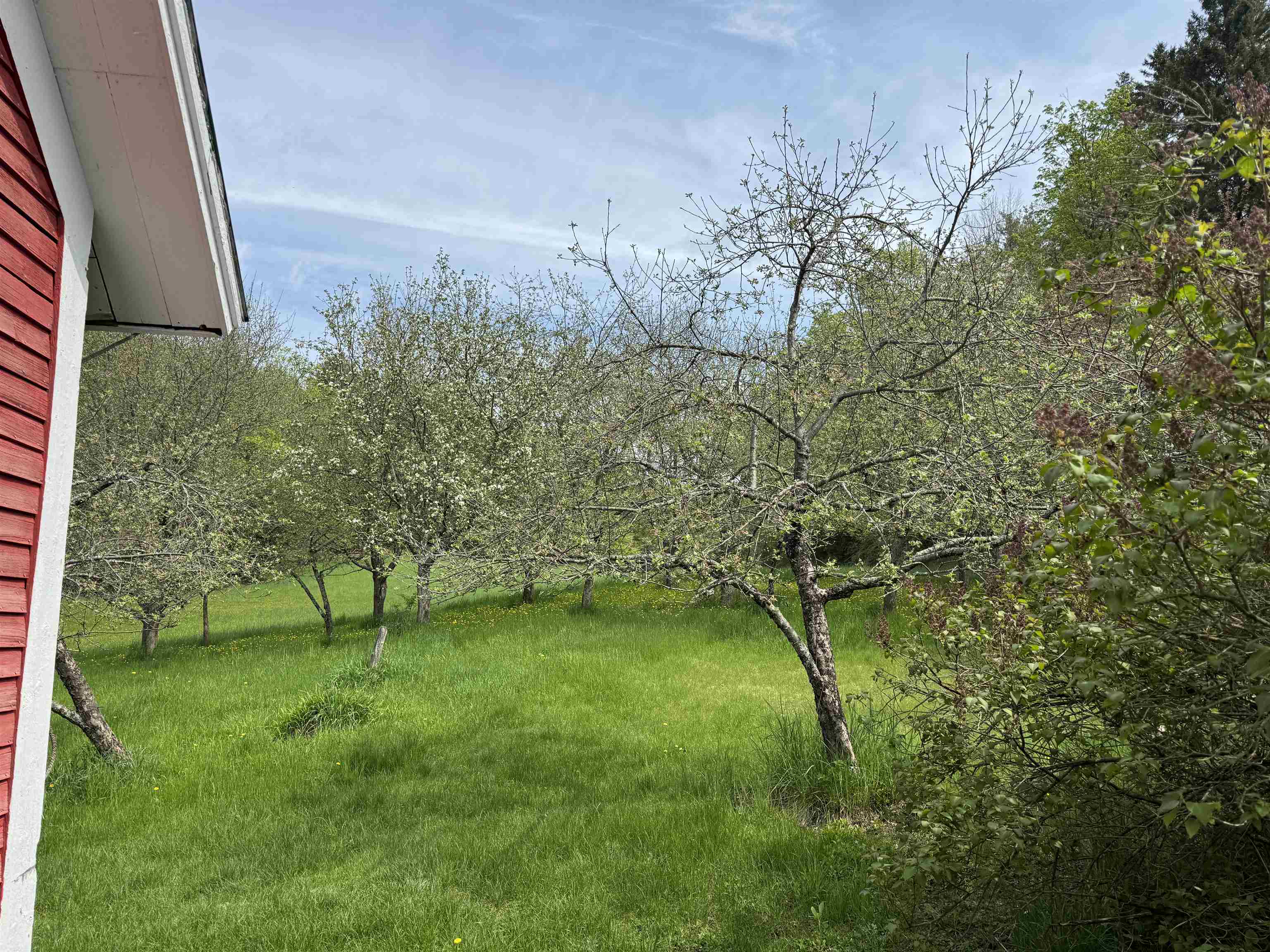 1302 County Hill Road Barnet, VT 05819 - Photo 19 of 40