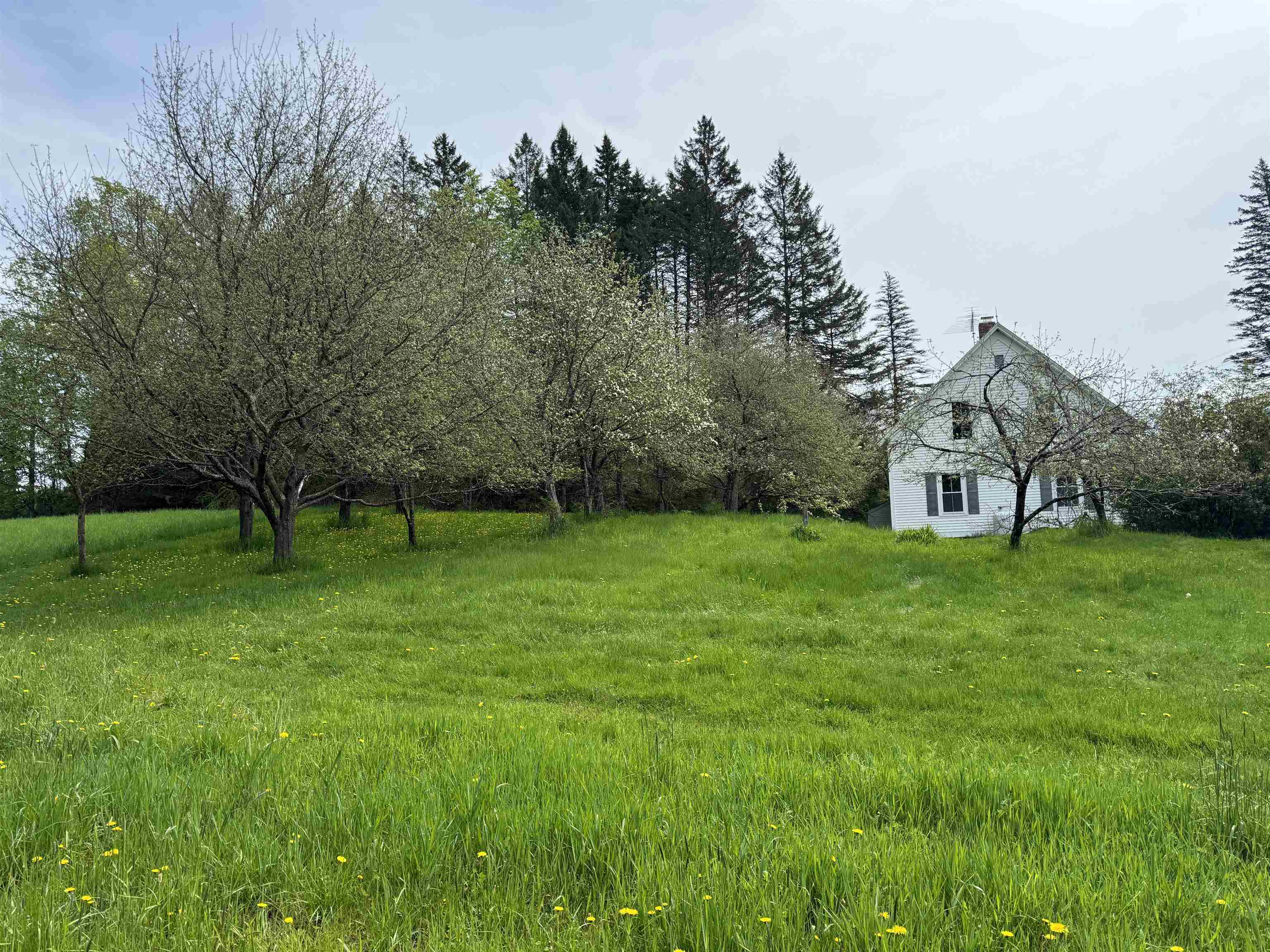 1302 County Hill Road Barnet, VT 05819 - Photo 20 of 40
