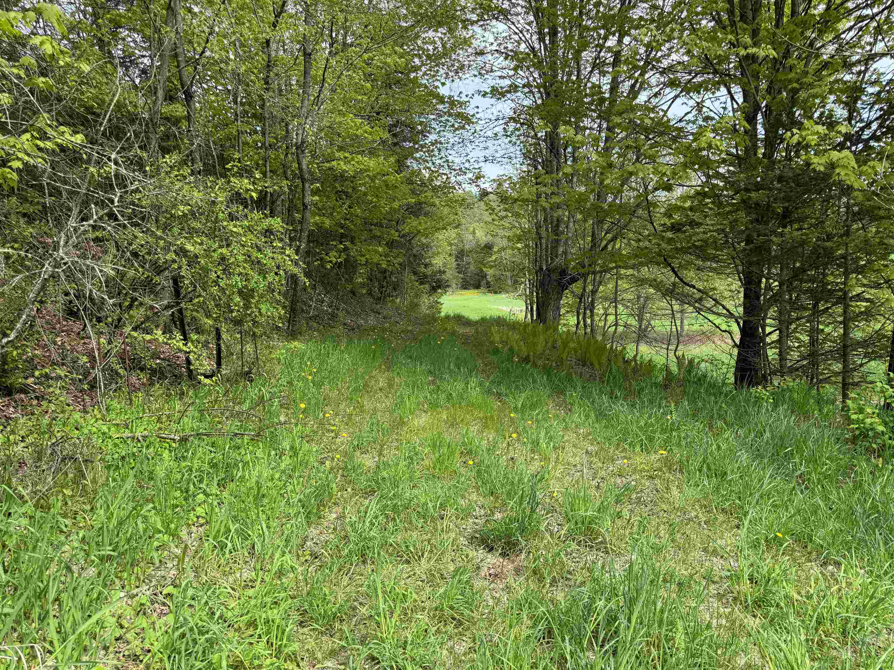 1302 County Hill Road Barnet, VT 05819 - Photo 32 of 40