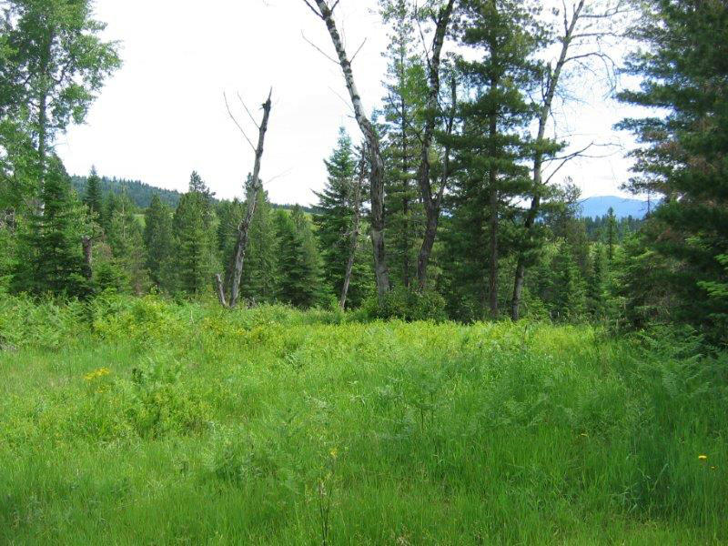 0 West Bellgrove Road Coeur D'Alene, ID 83814 - Photo 1 of 1 IMG_3506