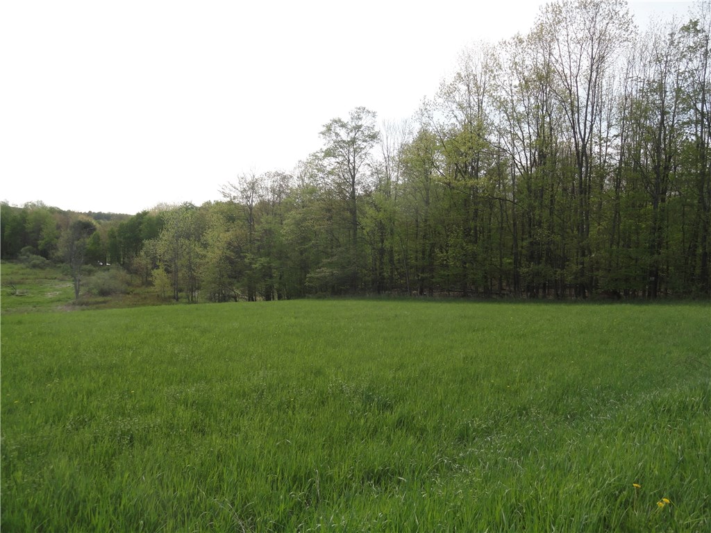 4 Tucker Road East Campbell, NY 14821 - Photo 1 of 1